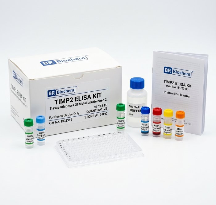 BC2312 TIMP2 ELISA Kit 96 Test Human Rat Mouse Cattle