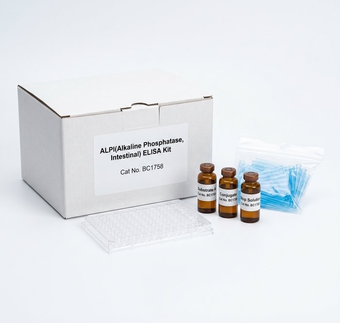 BC1758 ALPI ELISA Kit - Human, Rat, Cattle