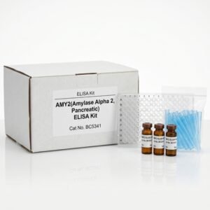 AMY2 Pancreatic Amylase ELISA Kit 96 Tests