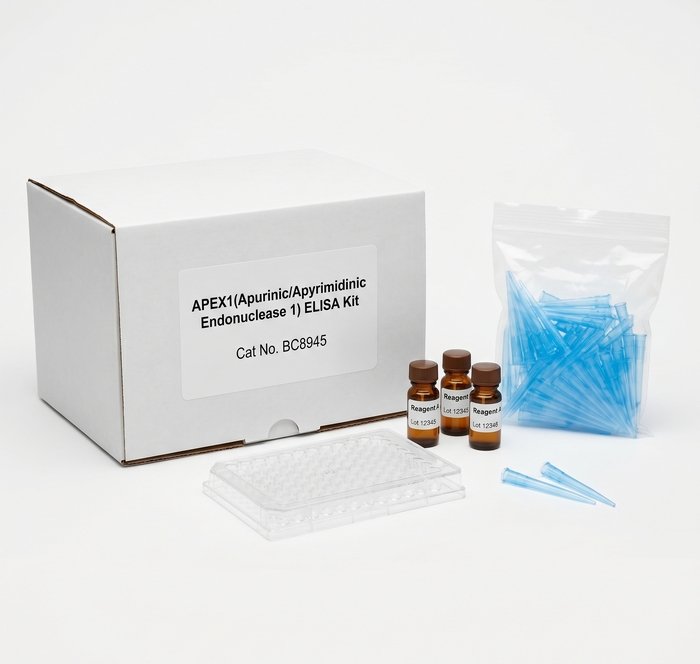 BC8945 APEX1 ELISA Kit 96 Test Rat Mouse