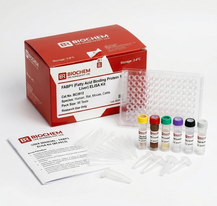 FABP1 ELISA Kit - Liver Fatty Acid Binding Protein Assay