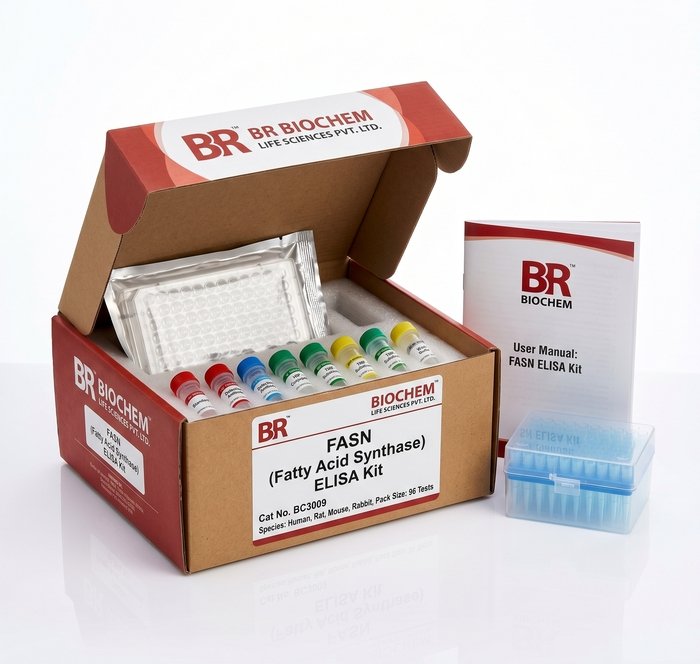 FASN Fatty Acid Synthase ELISA Kit 96 Test BC3009