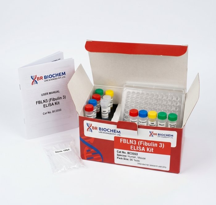 FBLN3 Fibulin 3 ELISA Kit 96 Test Human Mouse