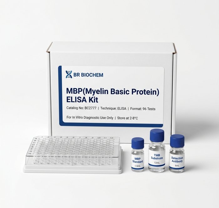 BC2777 Myelin Basic Protein ELISA Kit 96 Test