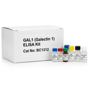 GAL1 ELISA Kit - High Sensitivity Galectin 1 Assay