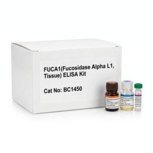 FUCa1 ELISA Kit Human Rat 96 Test BC1450