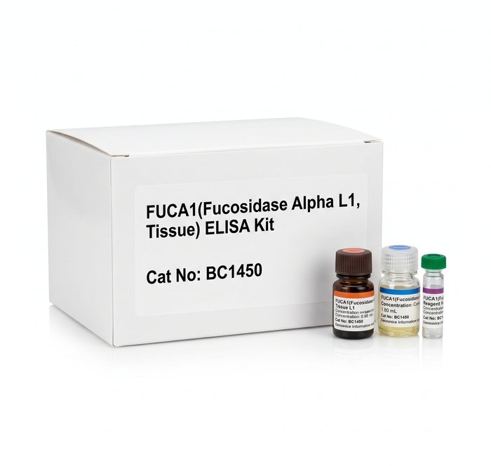 FUCa1 ELISA Kit Human Rat 96 Test BC1450