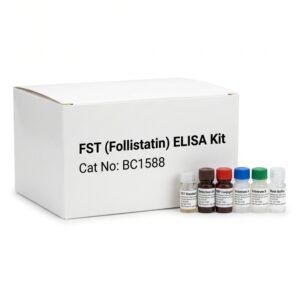 BC1588 Follistatin FST ELISA Kit Human Rat Mouse