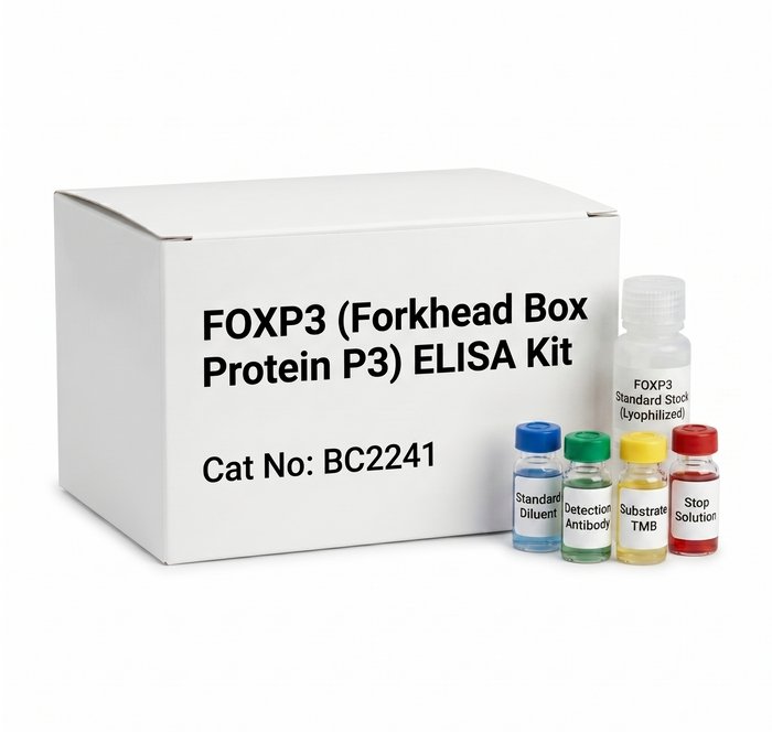 BC2241 FOXP3 ELISA Kit - 96 Test Human Rat Mouse