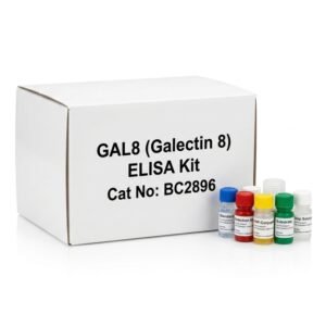 GAL8 Galectin 8 ELISA Kit 96 Test BC2896