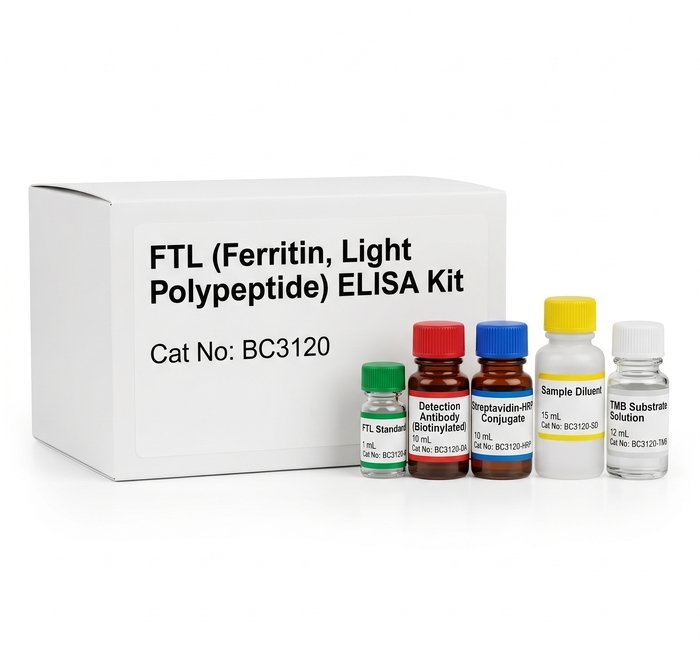 BC3120 FTL Ferritin ELISA Kit 96 Test