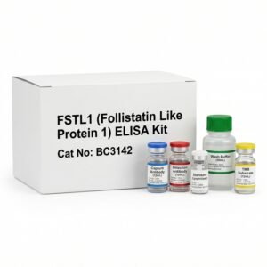 BC3142 FSTL1 ELISA Kit - High Sensitivity Assay