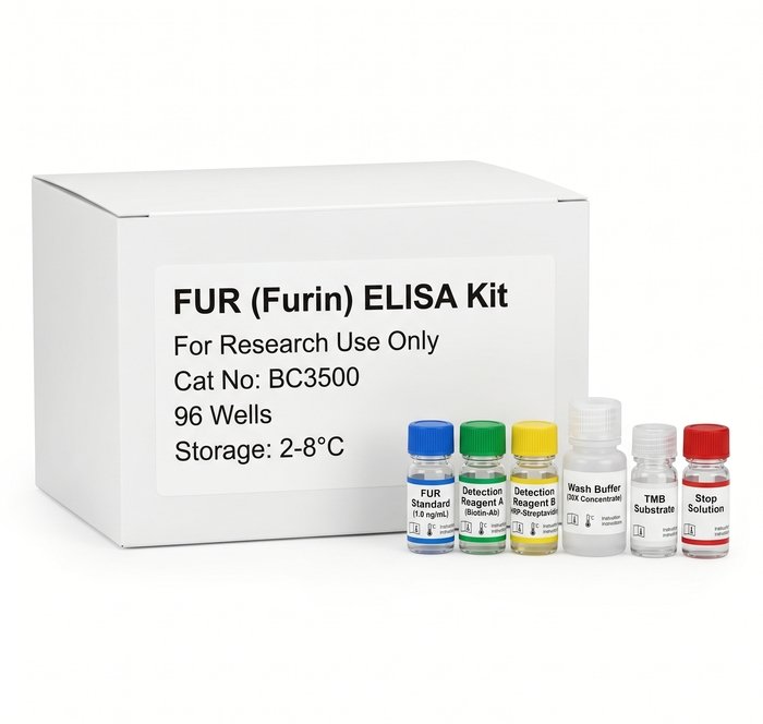 BC3500 FUR Furin ELISA Kit 96 Tests