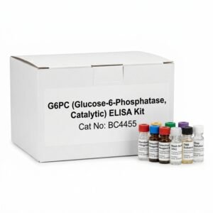 G6PC ELISA Kit BC4455 for Human Rat Mouse