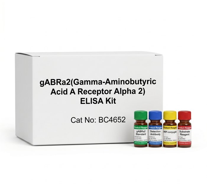 gABRa2 ELISA Kit 96 Test - Human and Mouse Compatible