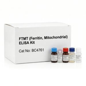 FTMT Ferritin Mitochondrial ELISA Kit 96 Tests