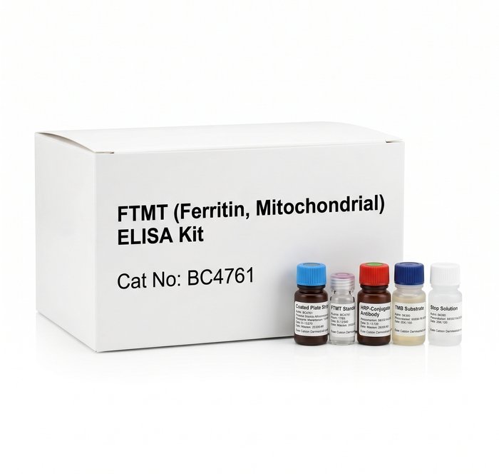 FTMT Ferritin Mitochondrial ELISA Kit 96 Tests