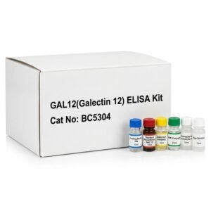 GAL12 Galectin 12 ELISA Kit - BC5304