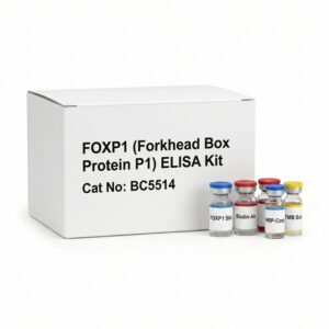 BC5514 FOXP1 ELISA Kit - High Sensitivity Assay 96 Tests