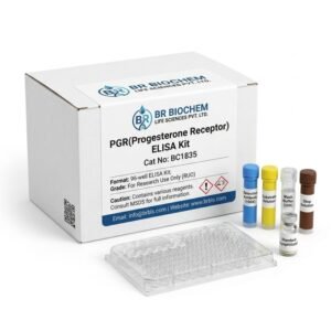 BC1835 PGR Progesterone Receptor ELISA Kit 96 Tests