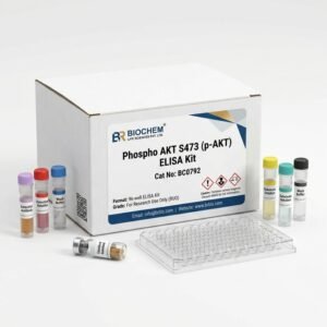 Phospho AKT S473 p-AKT ELISA Kit 96 Test Human Mouse Chicken