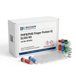 Mouse PHF8 ELISA Kit BC6954 96 Test