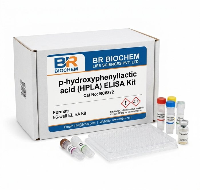 p-hydroxyphenyllactic acid HPLA ELISA Kit BC8872