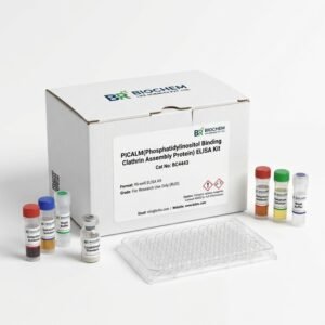 PICALM ELISA Kit Human and Rat 96 Test BC4443