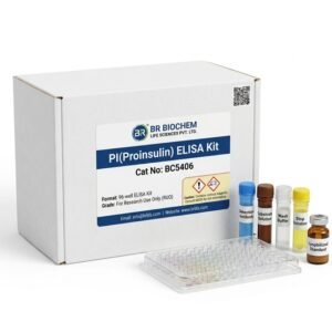 BC5406 Proinsulin ELISA Kit - 96 Test Pack