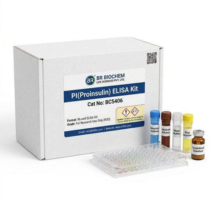 BC5406 Proinsulin ELISA Kit - 96 Test Pack