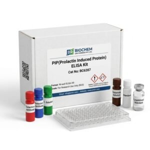 BC6287 PIP ELISA Kit for Human and Rat Research