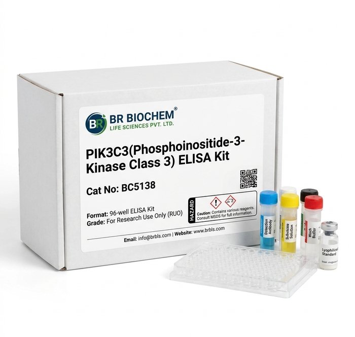 PIK3C3 ELISA Kit BC5138 for Human and Mouse
