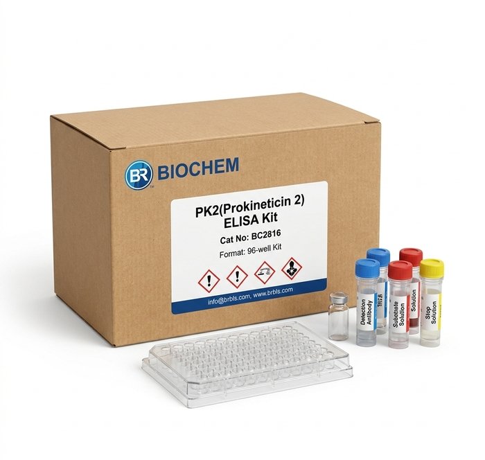 Mouse PLA2G3 ELISA Kit 96 Test BC7107