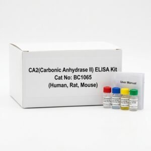 CA2 Carbonic Anhydrase II ELISA Kit - 96 Test