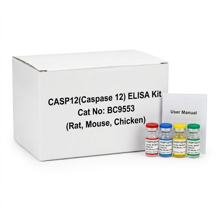 CASP12 ELISA Kit for Rat Mouse and Plant 96 Test