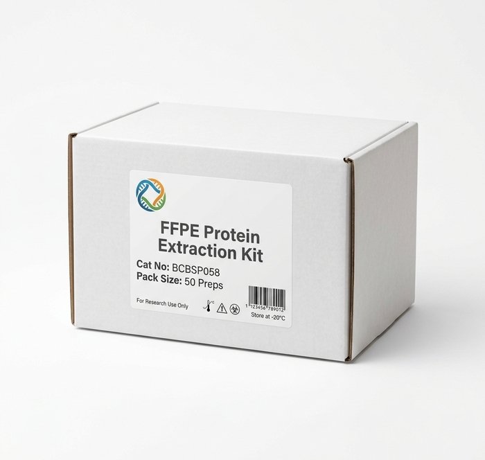 FFPE Protein Extraction Kit - BCBSP058