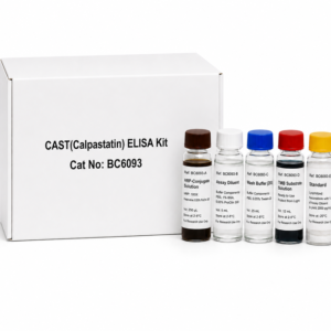 Mouse Calpastatin CAST ELISA Kit 96 Tests BC6093