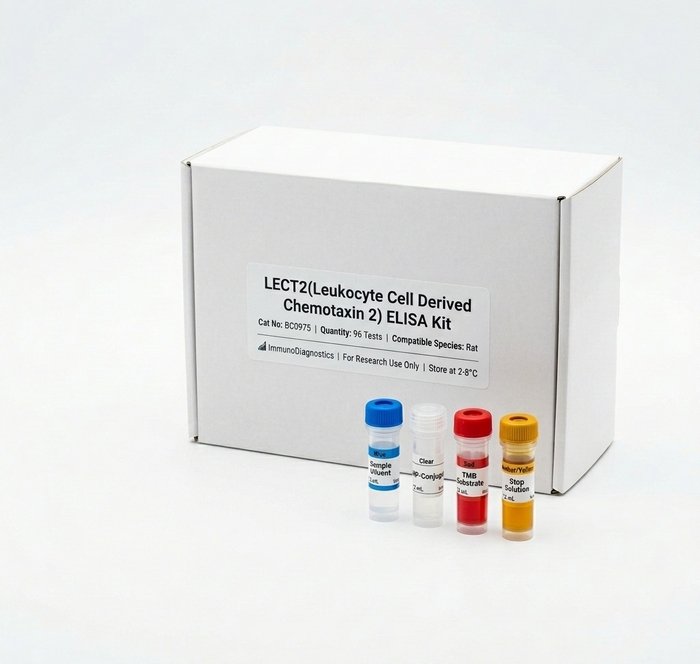 Rat LECT2 ELISA Kit 96 Test BC0975