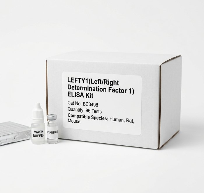 LEFTY1 ELISA Kit 96 Test Human Rat Mouse Detection