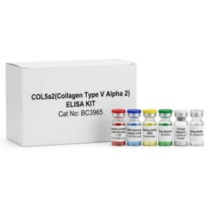 COL5a2 ELISA Kit BC3965 - Human and Mouse
