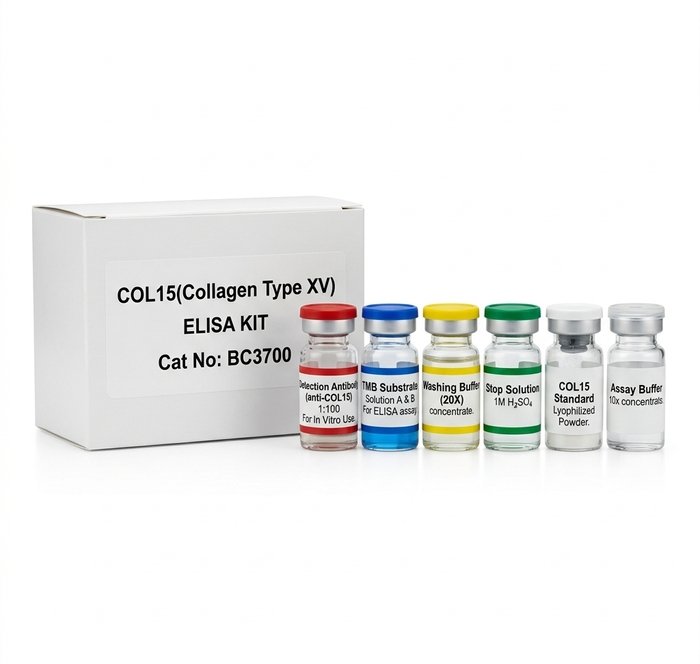 BC3700 Collagen Type XV ELISA Kit - 96 Test