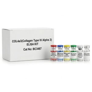 Human COL4a3 ELISA Kit BC3487 96 Tests