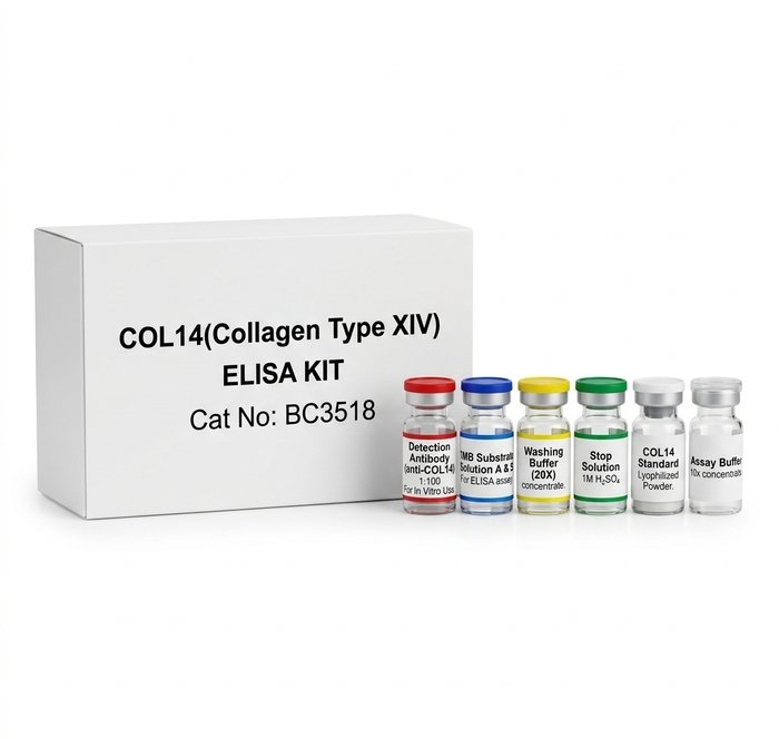 COL14 ELISA Kit, Human Collagen Detection, Laboratory Research Kits