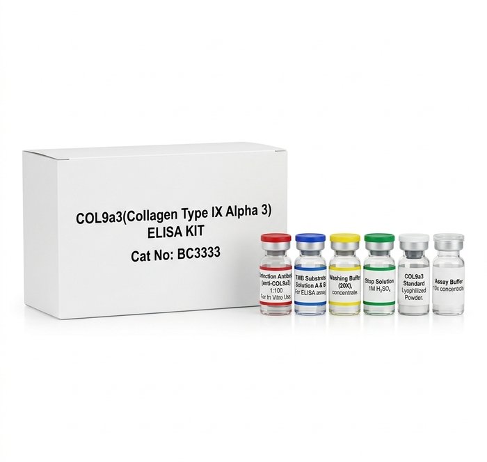 COL9A3 Human ELISA Kit 96 Tests BC3333