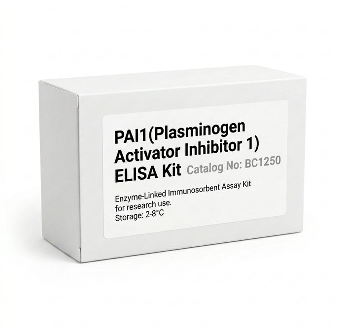 PAI1 ELISA Kit BC1250 | High Sensitivity Assay