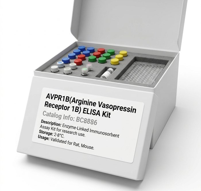 AVPR1B ELISA Kit - BC8886 - High Sensitivity Assay