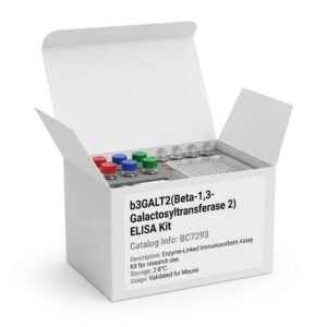 Mouse b3GALT2 ELISA Kit 96 Tests BC7293
