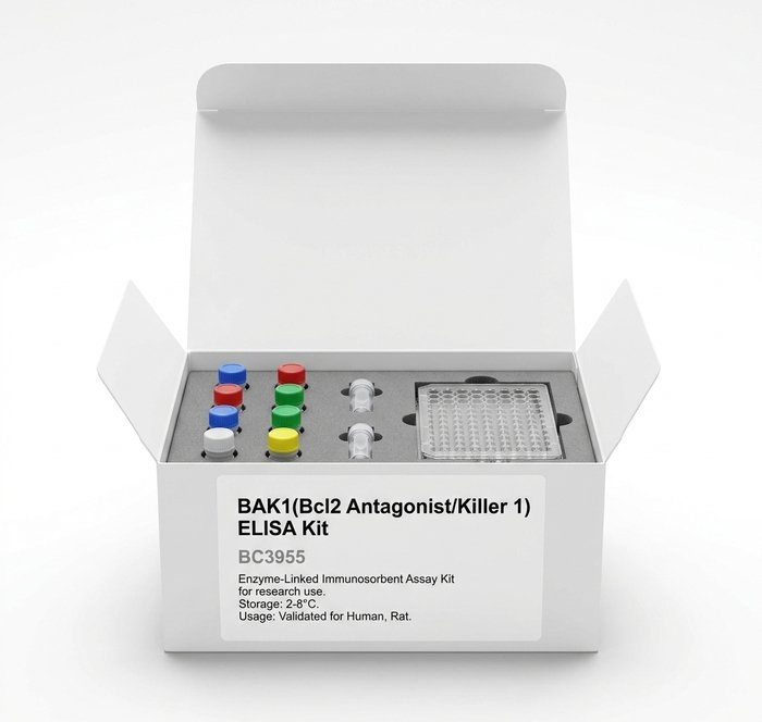 BAK1 ELISA Kit 96 Test Human Rat Bcl2 Antagonist Killer 1