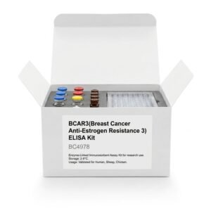 BCAR3 ELISA Kit 96 Test - Human, Sheep, Chicken