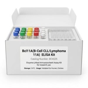 Bcl11A ELISA Kit BC4535 for Human and Chicken Research